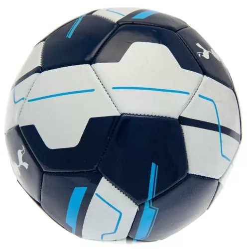 Tottenham Hotspur Football Club Fan Ball